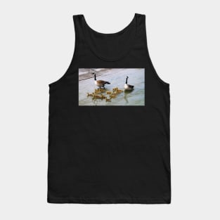 Canada Goose Parents Taking Their Goslings For a Swim Tank Top